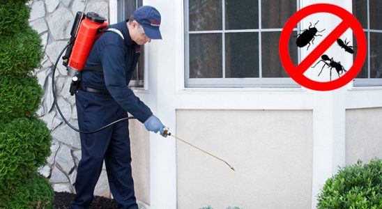 Güçlükonak Kene İlaçlama böcek ilaçlama ve haşere kontrolü — ilaclama-tr.com